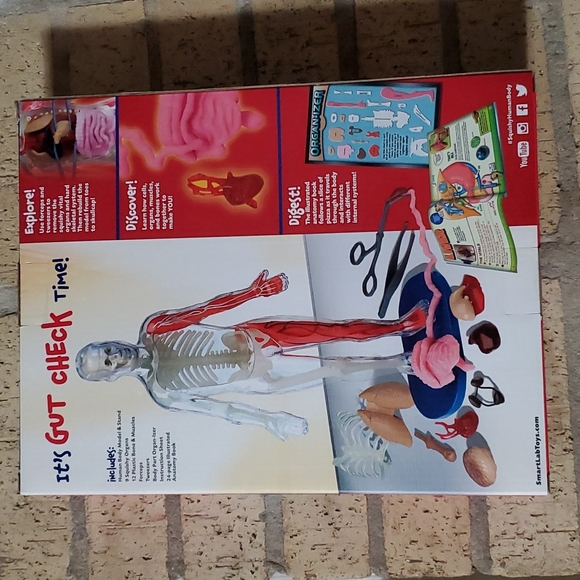 Smart Lab Squishy Human Body - Picture 2 of 2